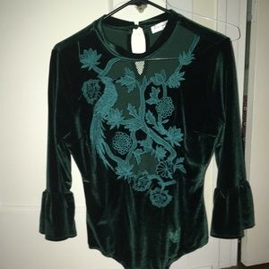 Green velvet top